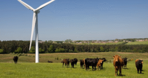 How Are Green Energy Clubs Helping People Save on Electricity Bills and Get a Better Deal?