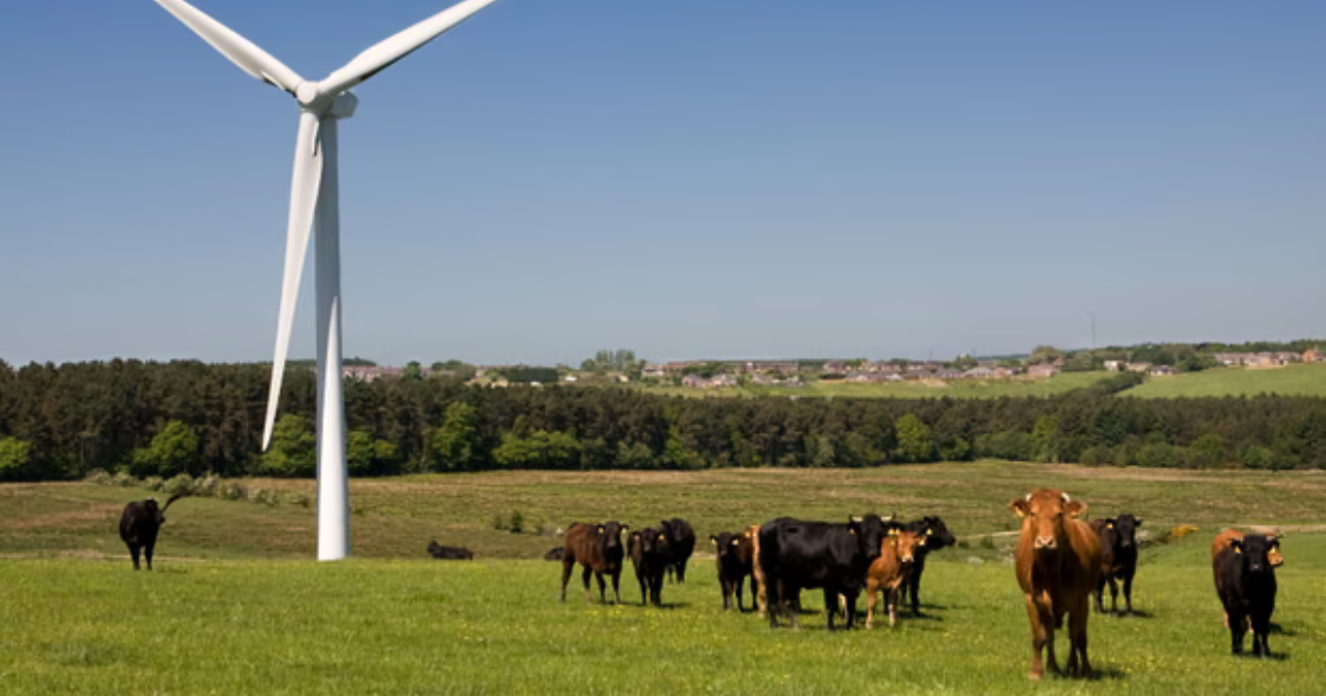 How Are Green Energy Clubs Helping People Save on Electricity Bills and Get a Better Deal?