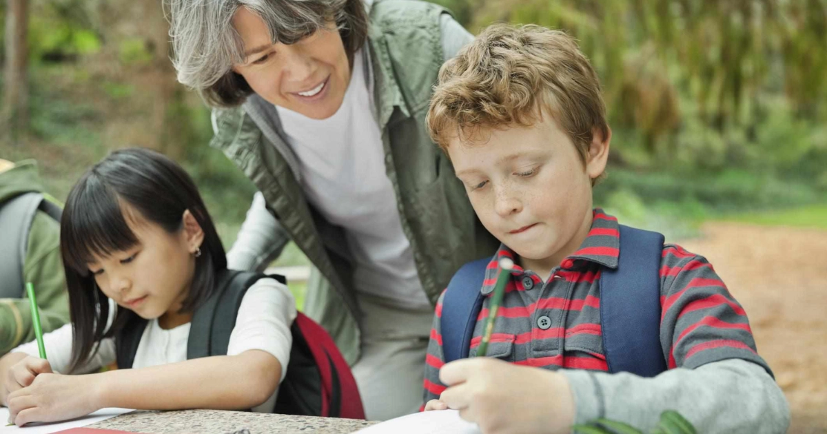 What are David Kolb's learning styles?