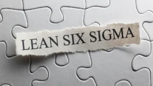 What Topics Are Covered in a Lean Six Sigma Master Black Belt Training Course?