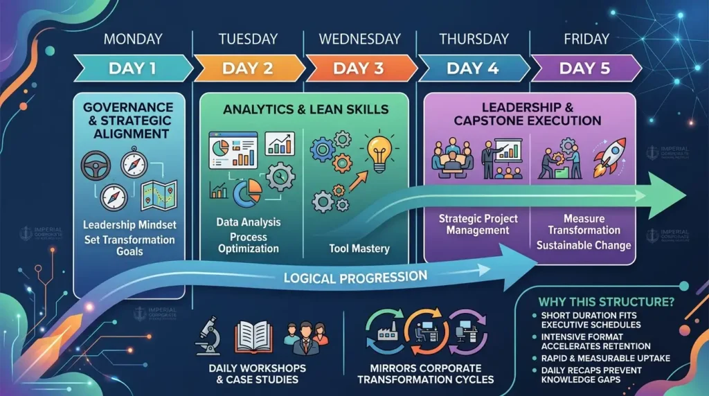 Why Is the Course Structured This Way