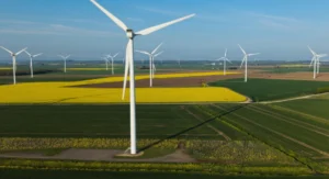Weakening UK net zero policy would damage economy, chief climate adviser says